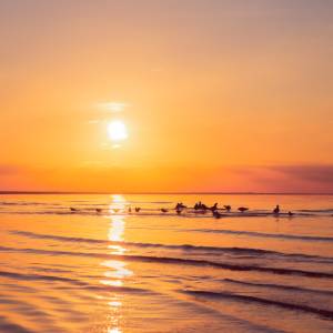 2026. gada pavasara iniciācijas seminārs